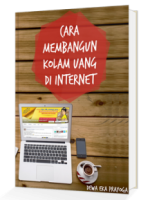 Cara-Membangun-Kolam-Uang-di-Internet-217x300